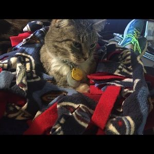 Meet your Posher, Debbie